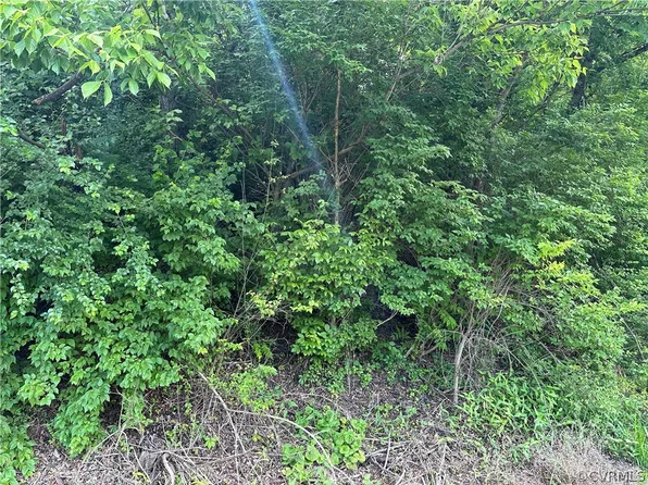 0 Us Highway 220 #130, Daleville, VA 24083