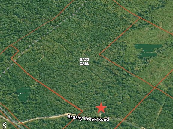 5th image of 0 Brushy Creek Rd