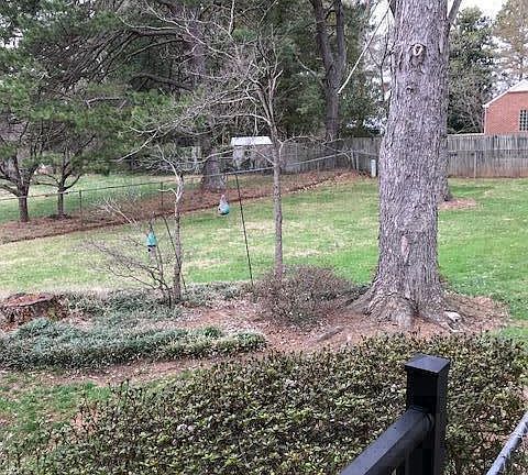 Pretty fenced back yard