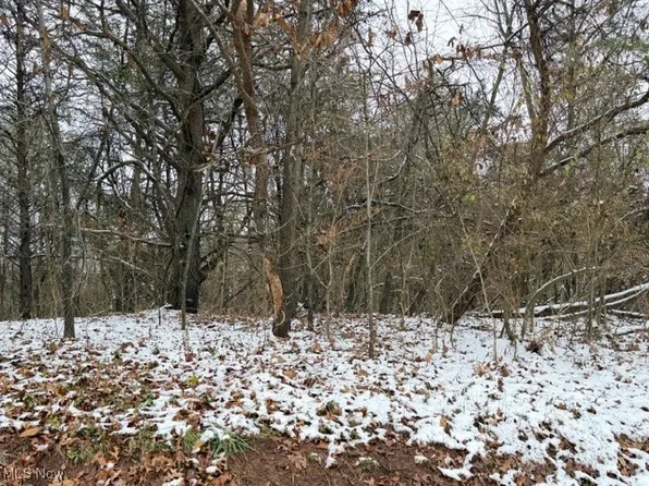 Bailey Rd, Elizabeth, WV 26143