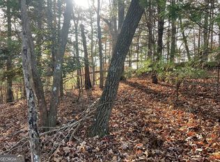 71 Dryad Ct, Ellijay, GA 30540