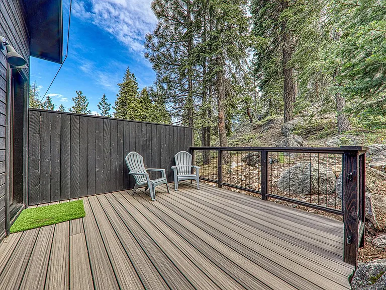 10594 Snowshoe Cir — Photo 39
