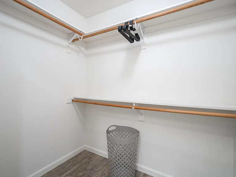 Master walk-in closet