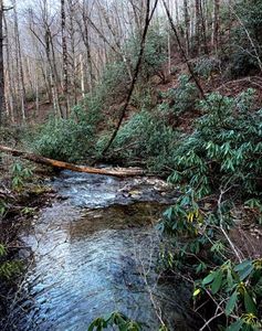 (Undisclosed Address), Bryson City, NC, 28713