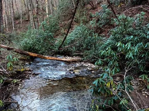 (undisclosed Address), Bryson City, NC 28713