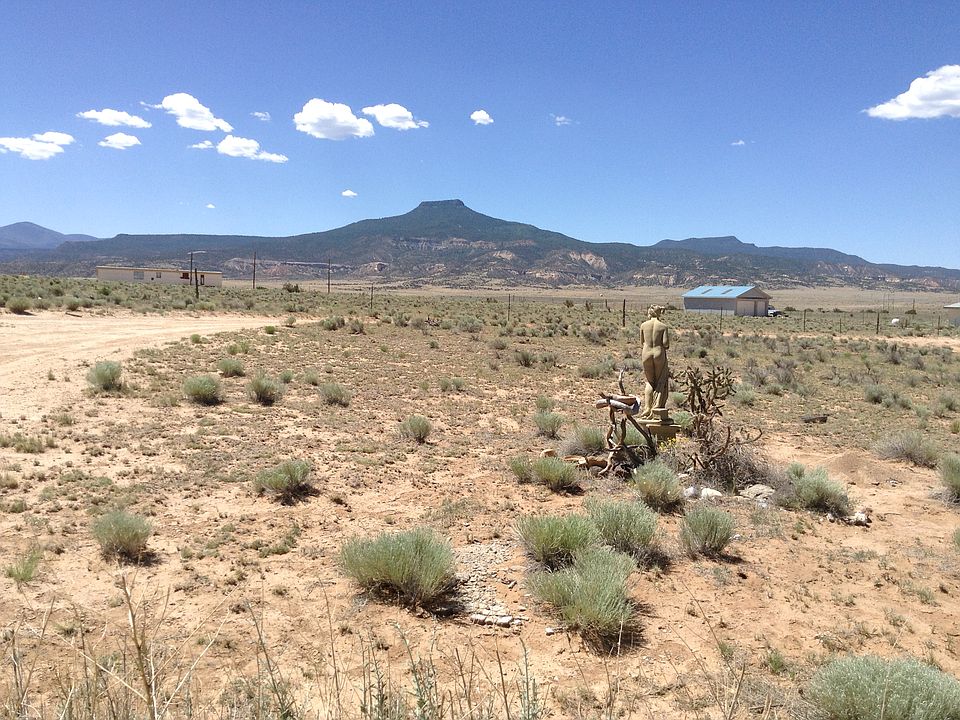Front yard view