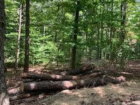 9 Wild Game Trail Rd, Newfoundland, PA 18445