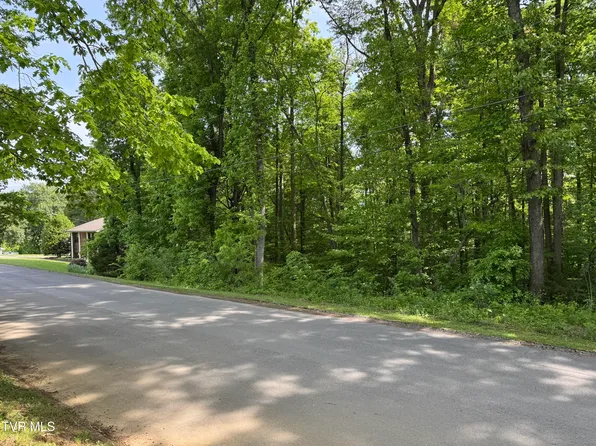 6 Parrish Dr, Greeneville, TN 37743