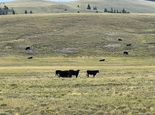 Ranch Rd, Hartsel, CO 80449