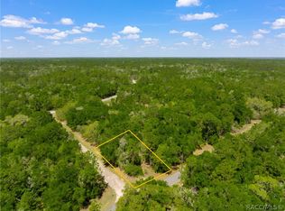 8152 N Yellowbird Ave, Citrus Springs, FL 34434