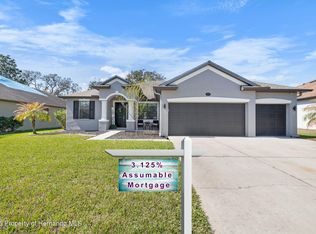 595 Tierra Dr, Spring Hill, FL 34609