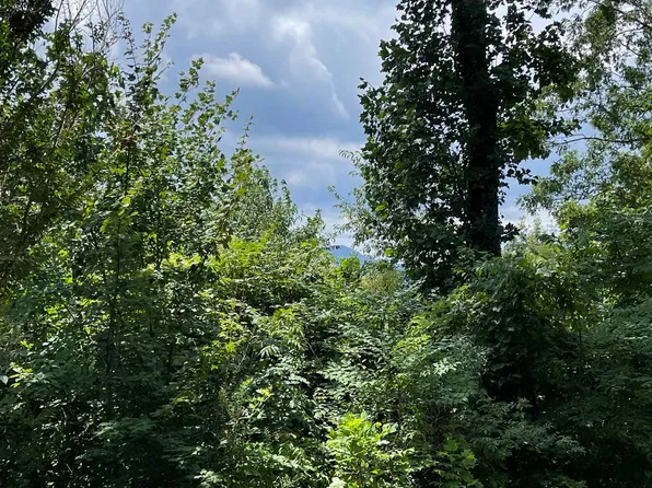 48 Harris Ridge Rd, Young Harris, GA 30582