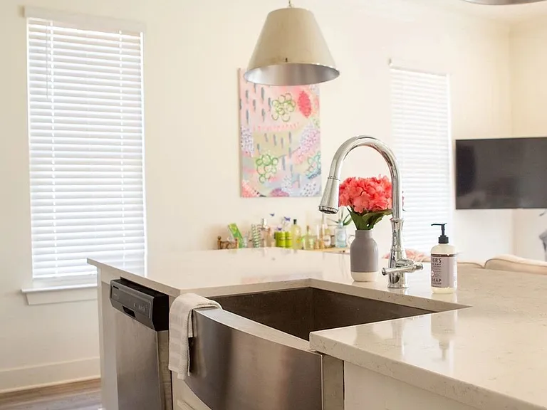 Sink and Dishwasher
