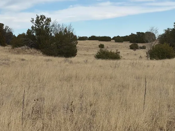 Linda Vista Dr, Estancia, NM 87016