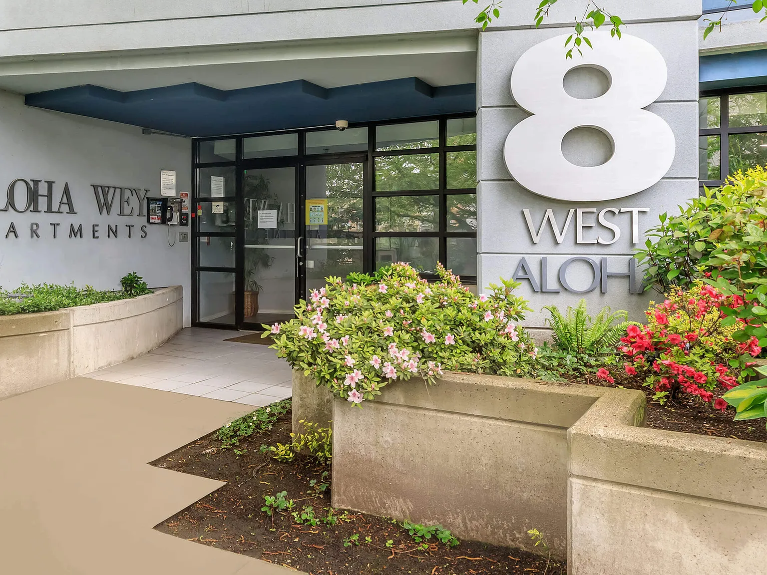 Aloha Wey — Photo 1