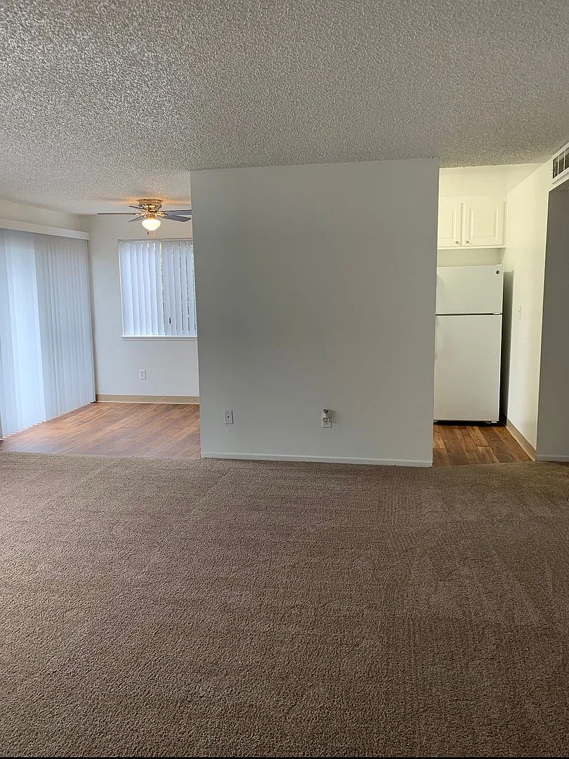 Shannon South Apartments — Photo 4