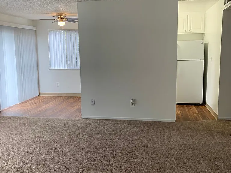 Shannon South Apartments — Photo 4