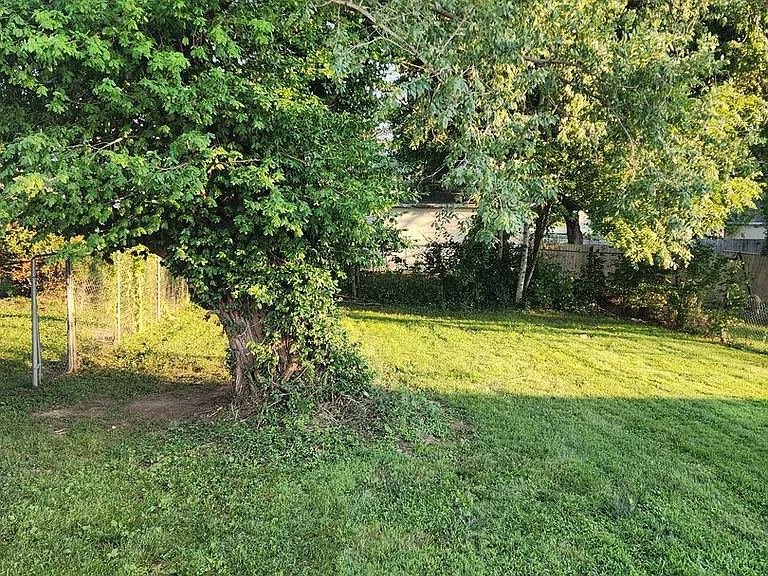 417 Albert St — Photo 15