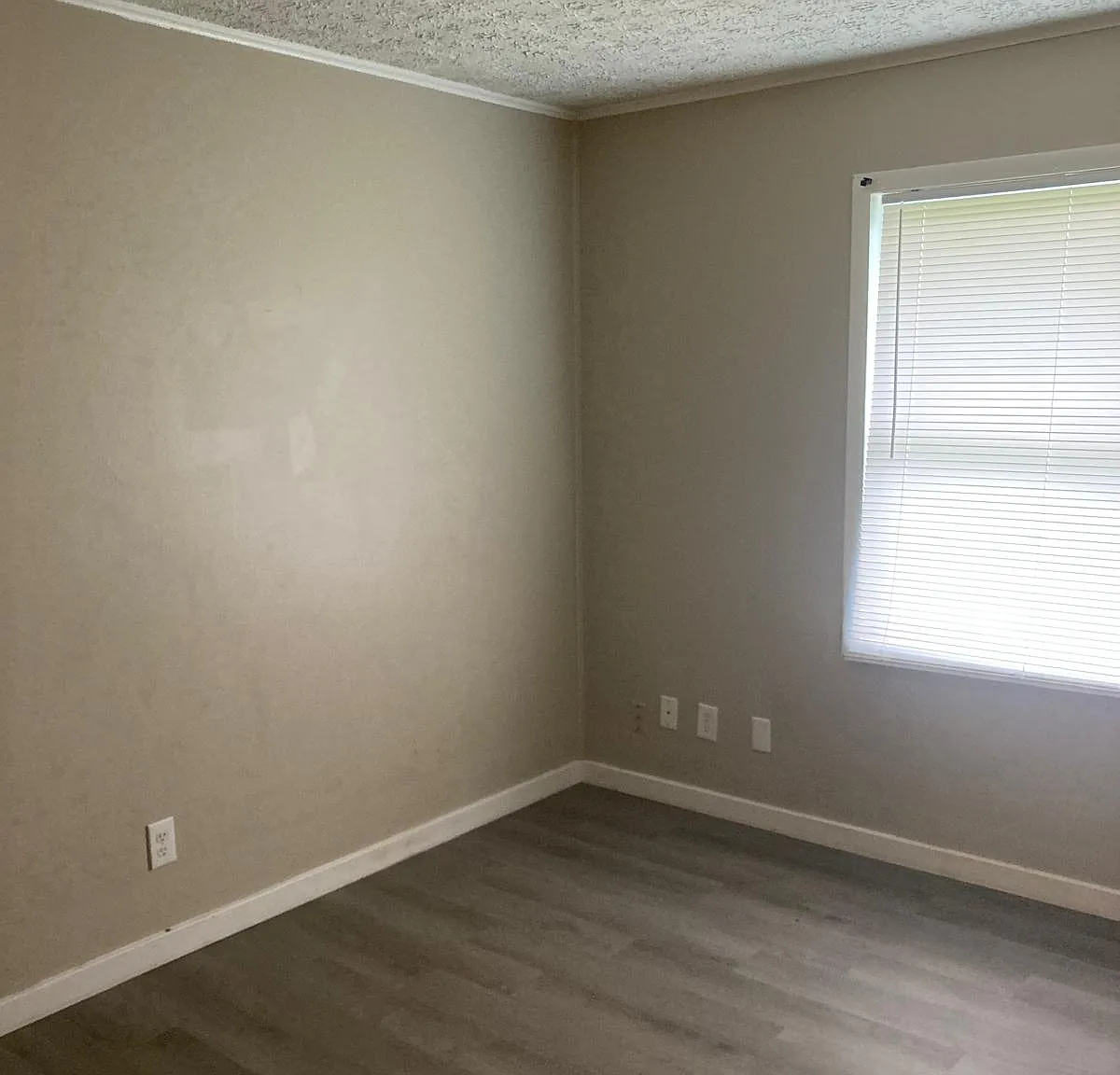 1 bed, 675 sqft, $865 — Photo 3