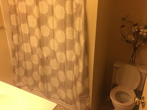 3rd image of 3642 Tarpis Ave APT 12