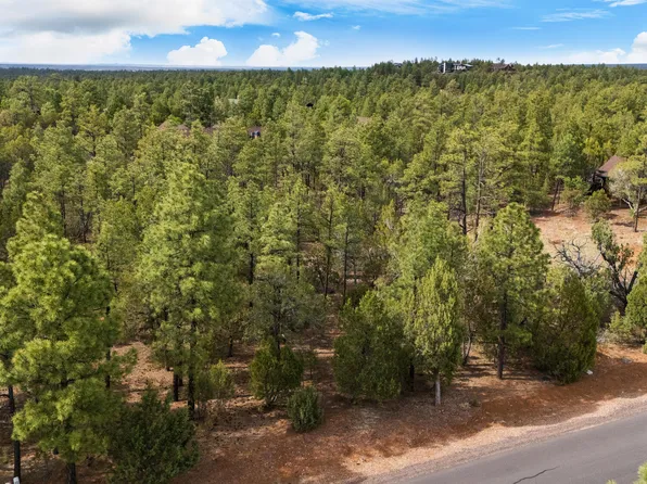 1820 S Monkshood Rd, Show Low, AZ 85901