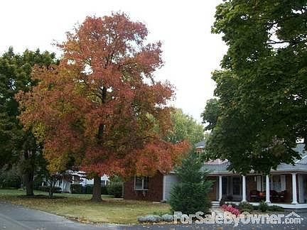 Master Jetted Tub
						:
						Bay window, 1 stained glass