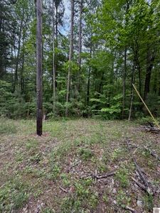 0 Songer Ln, Murray, KY, 42071