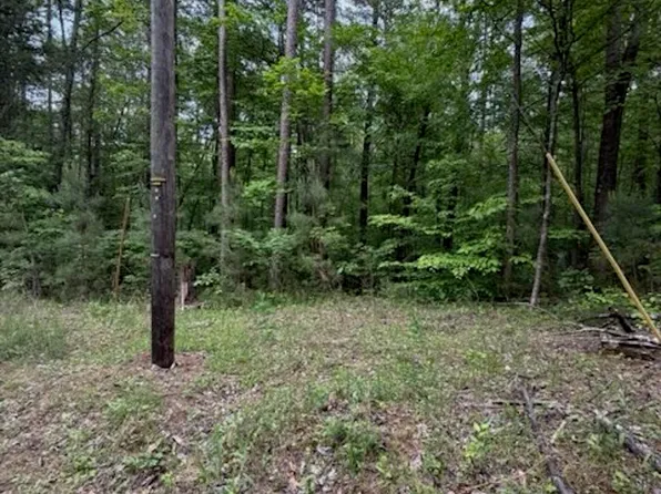0 Songer Ln, Murray, KY 42071