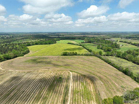 2nd image of 85 Omussee Rd