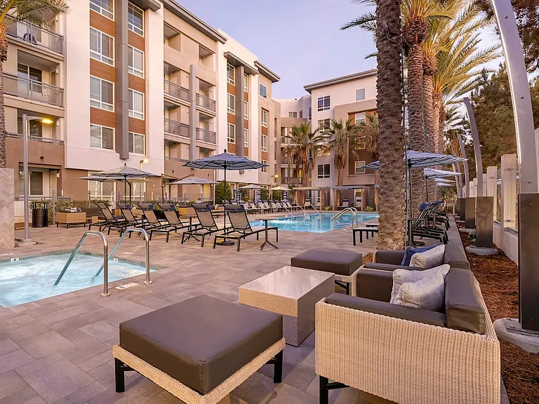Phase III Pool and Spa