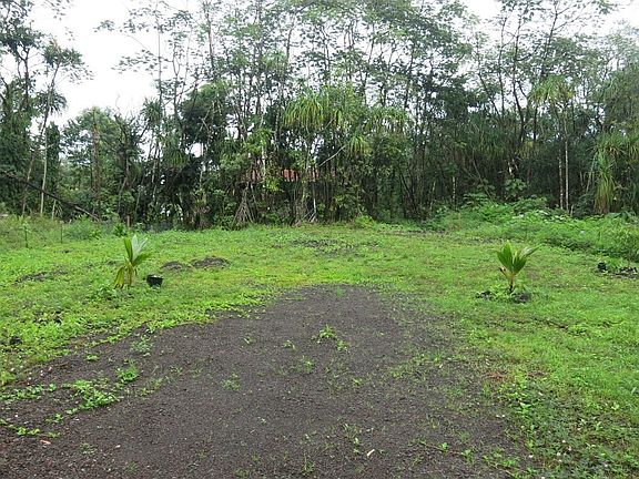 2nd image of Oopu St Lot 1572