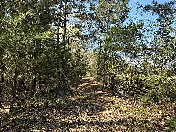 2nd image of 0 County Road 4310