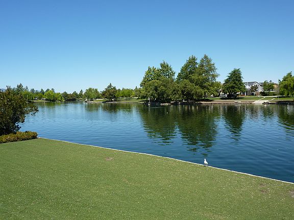 Harveston Lake community