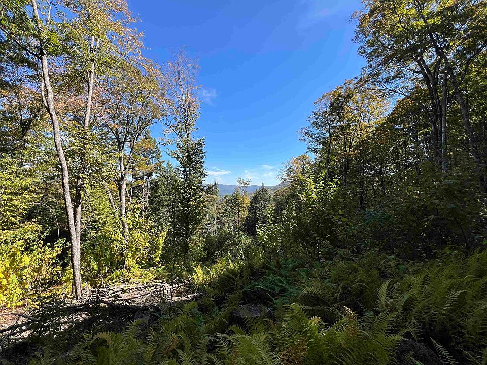 2nd image of VT Route 100 South