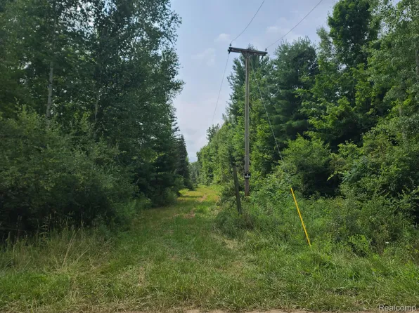 0 Pringle Rd, Cass City, MI 48726
