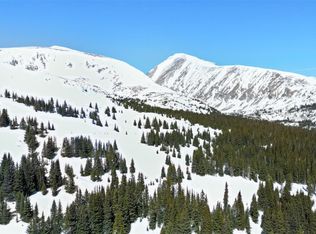 23 Camron Ln, Breckenridge, CO 80424