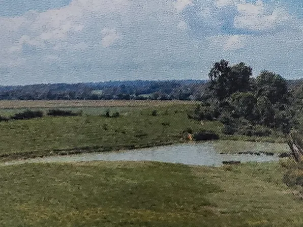 4443 Possum Trot Rd, Troy, TN 38260