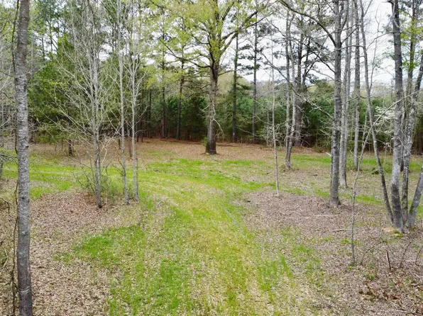 County Road 1580 #A, Avinger, TX 75630