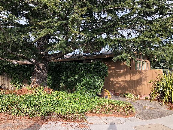 View from Reed Ranch Rd