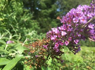 301 Torrey St, Brockton, MA 02301