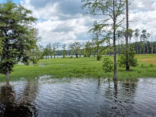 3 County Road 2178, Burkeville, TX 75932