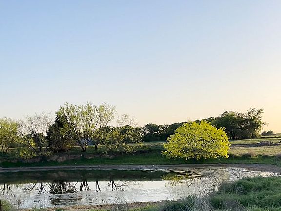 Backside view of pond