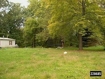 228685X-3.jpg