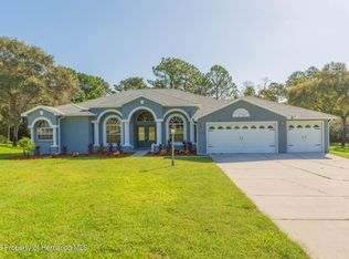 11382 Doxsey Hill Cir, Spring Hill, FL 34609