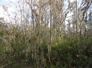 Van Fleet Trl, Polk city, FL 33868
