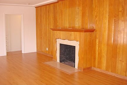 LIVING ROOM FIREPLACE