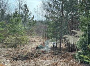 6791 N Hickey Creek Truck Trl, Manistique, MI 49854