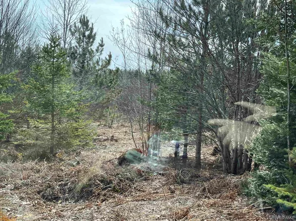 6791 N Hickey Creek Truck Trl, Manistique, MI 49854