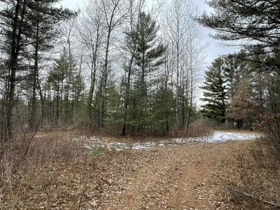 40 Acres SENECA ROAD, Pt Edwards, WI, 54469