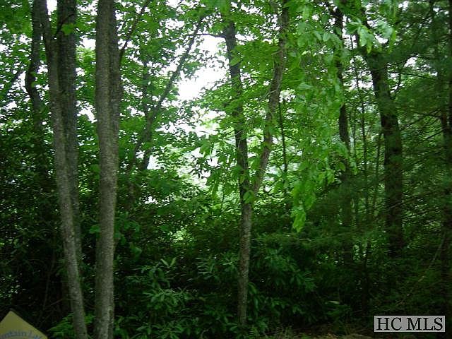 1st image of 214 Rainbow Falls Trail